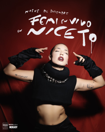 femi en niceto