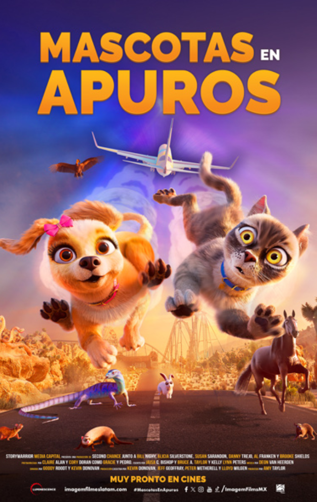 mascotas en apuros